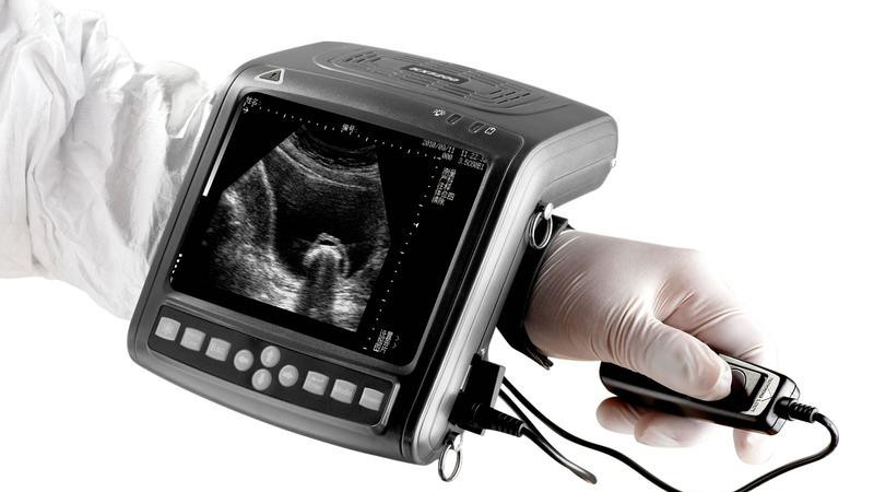 KX 5200, УЗИ, УЗД, узи для скотоводства, узи аппарат для КРС, kaixin